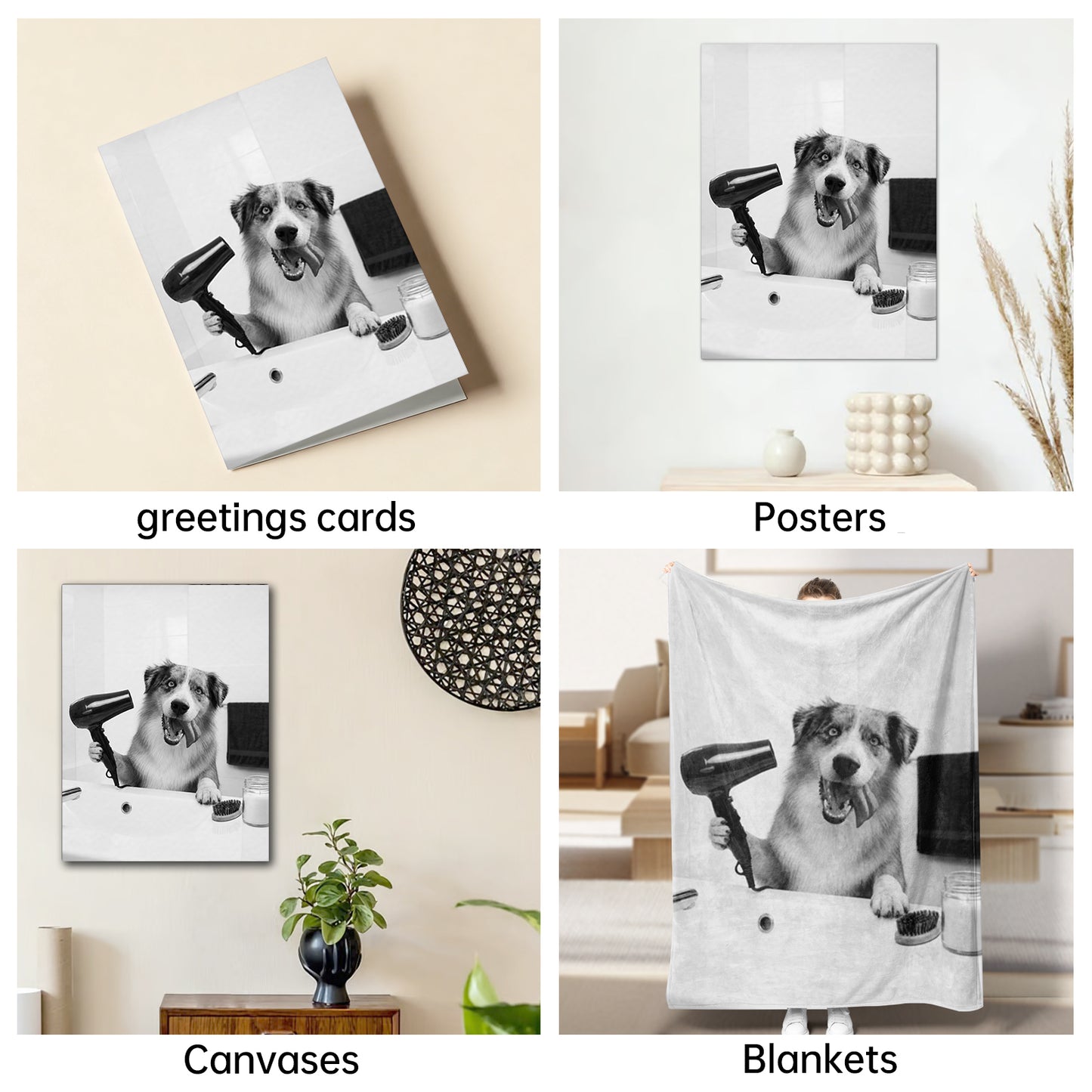 The Victorian Groomer Australian Shepherd portrait