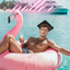 The Flamingo Float Graduate man,graduation portrait