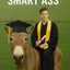 The Graduated Donkey male portrait