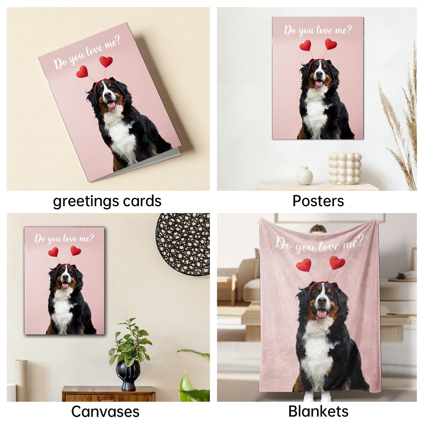 The Valentine Courtier Bernese Mountain Dog portrait