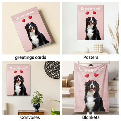 The Valentine Courtier Bernese Mountain Dog portrait