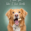 The Treat-Obsessed Canine none portrait