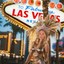 The Las Vegas Showgirl woman portrait