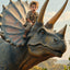 The Dino-Rider Adventurer boy portrait