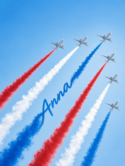 The Skyward Commander Anna,250th portrait