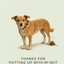 The Regal Scandal Retriever portrait