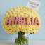 The Botanical Healer AMELIA portrait