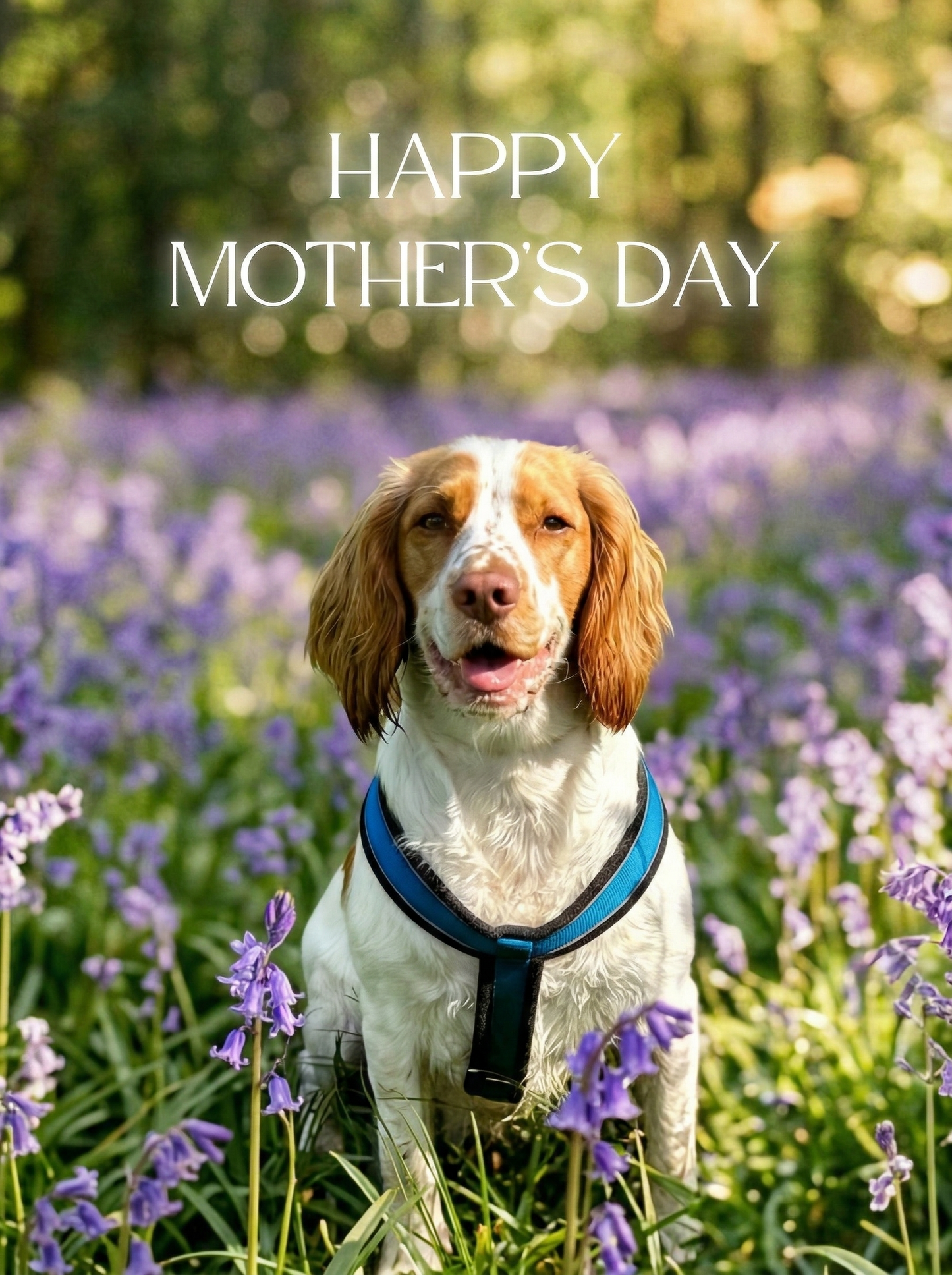 The Mother's Day Garden Herald custom dog portrait